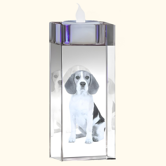 Crystal candle stand pet souvenir photo