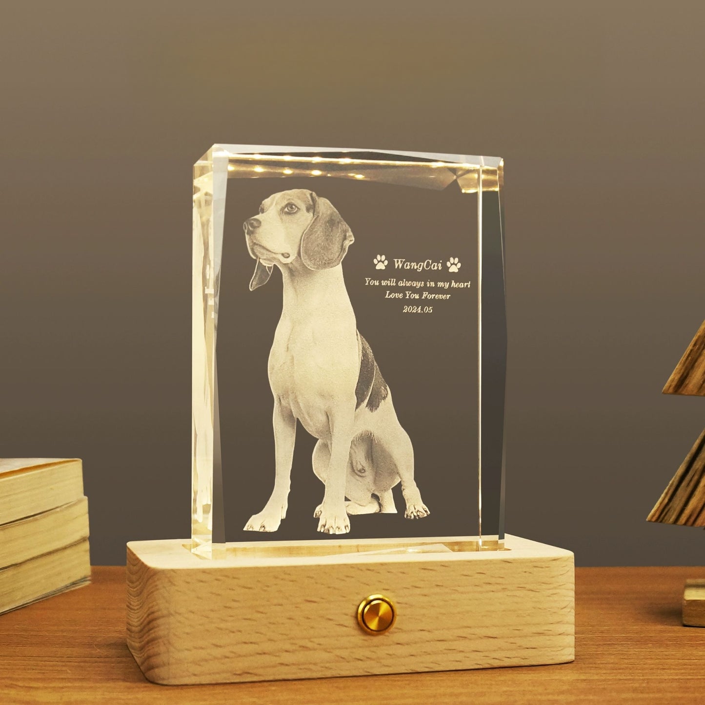 Pet keepsake Crystal photo album artwork