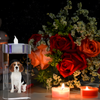 Crystal candle stand pet souvenir photo